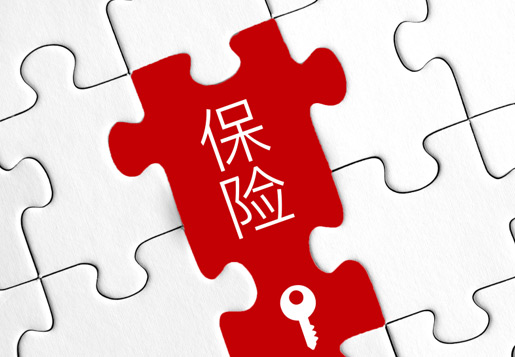 保险